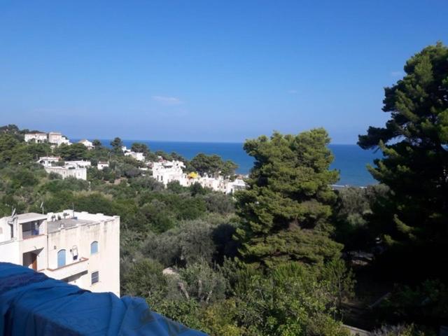 Tramonti Villa San Menaio Dış mekan fotoğraf