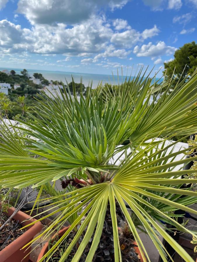 Tramonti Villa San Menaio Dış mekan fotoğraf